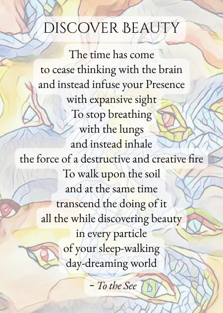 discover Beauty — from To the See